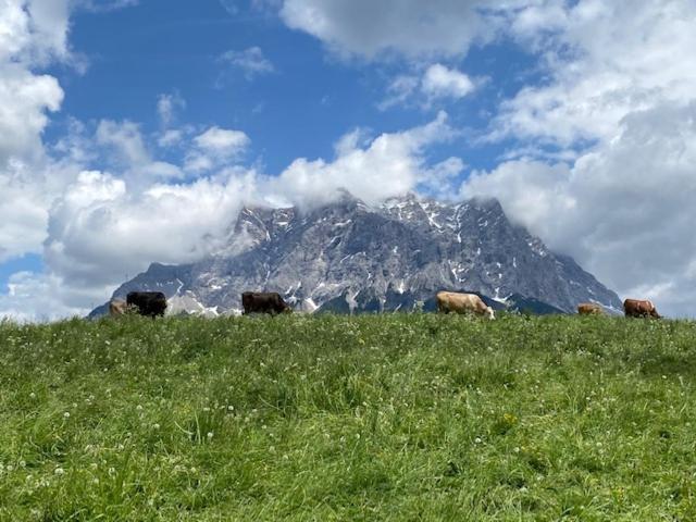 Bergheimat Tirol Apartment แลร์มอส ภายนอก รูปภาพ